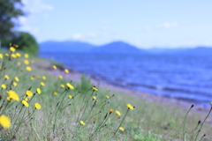 湖畔のせせらぎ