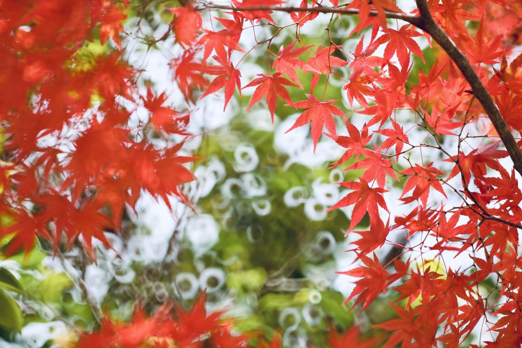 太陽の恵み