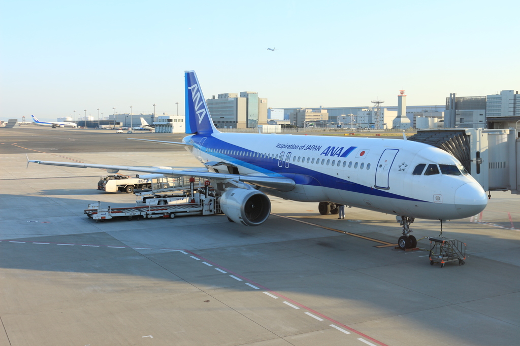 ANAのA320