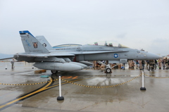 フレンドシップデー2015「F-18D]