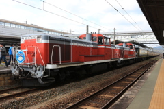 サロンカーナニワ　DE10　二機