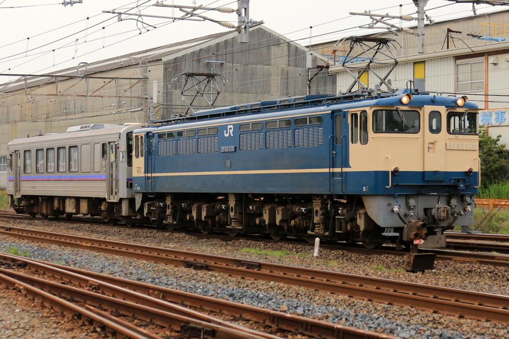 EF65-1131