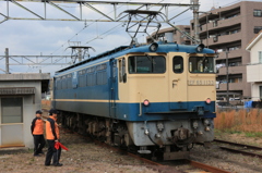 EF65 1133