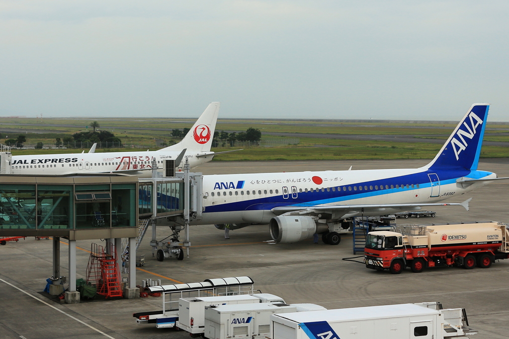 悲劇の特別機、航空会社から被災地へこめられたメッセージ