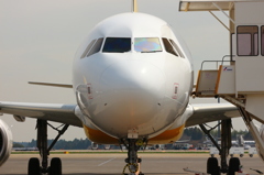 成田空港　バニラエア