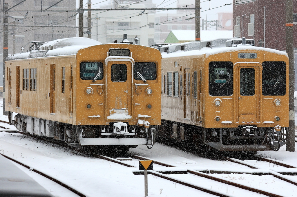 雪に凍える105・123系