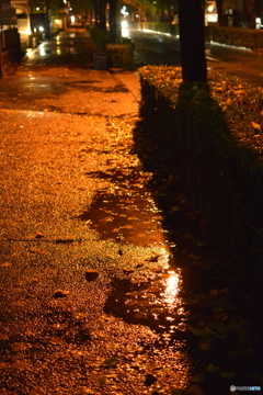 雨の帰り道を照らす光