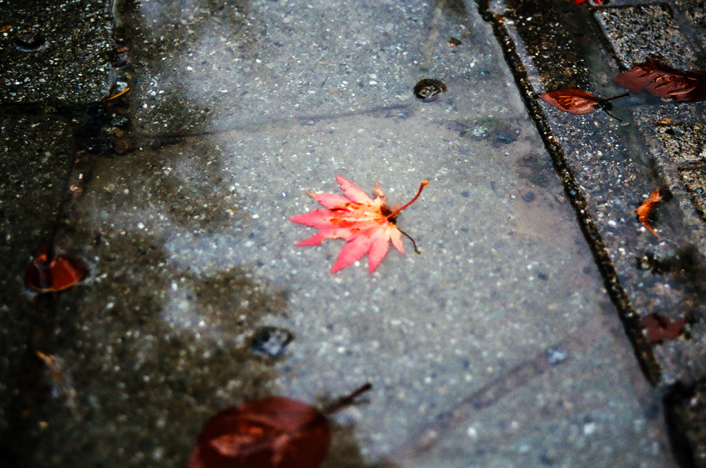 不時着
