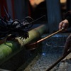 龍