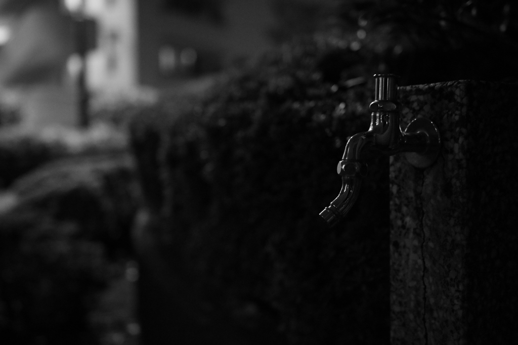 蛇口