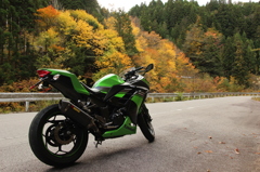ninja250 紅葉にて