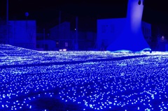 青森県十和田市 現代美術館 イルミネーション