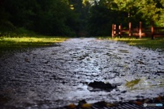 大雨の後