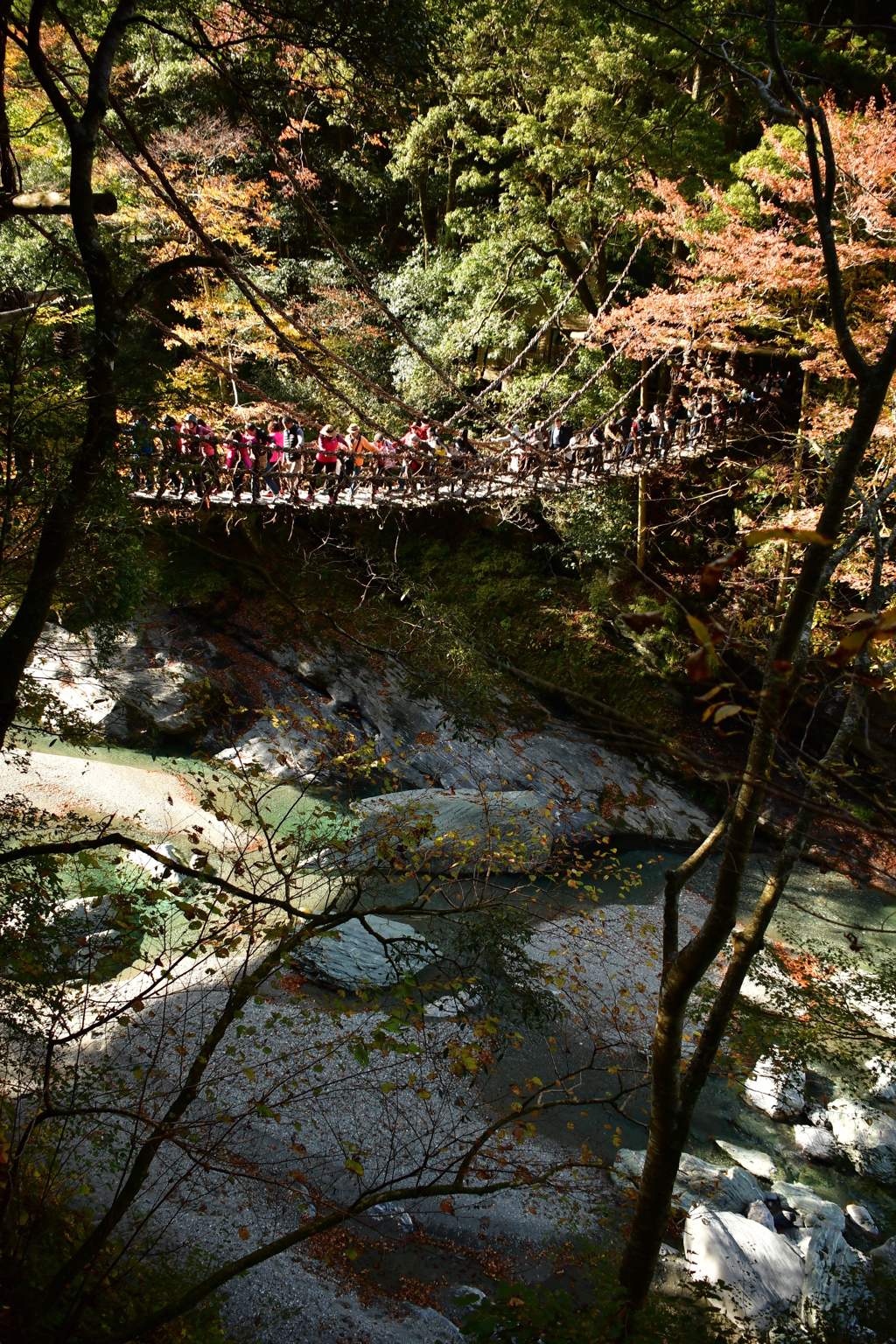 祖谷のかずら橋