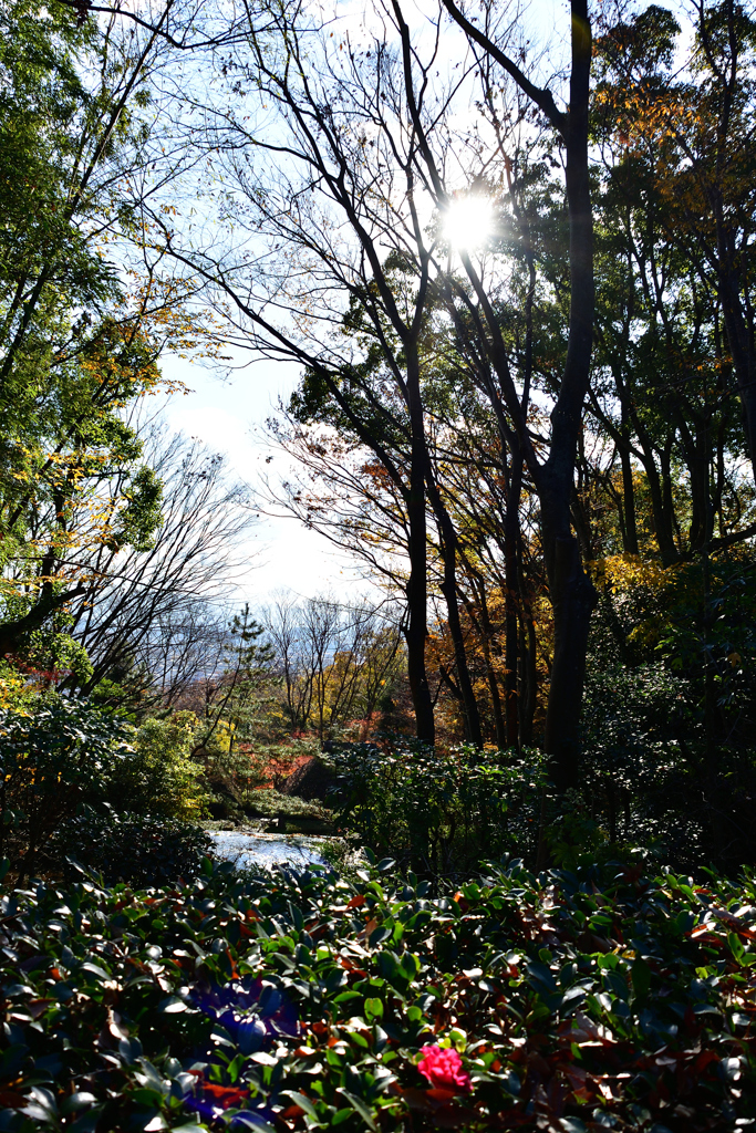 DSC_0489