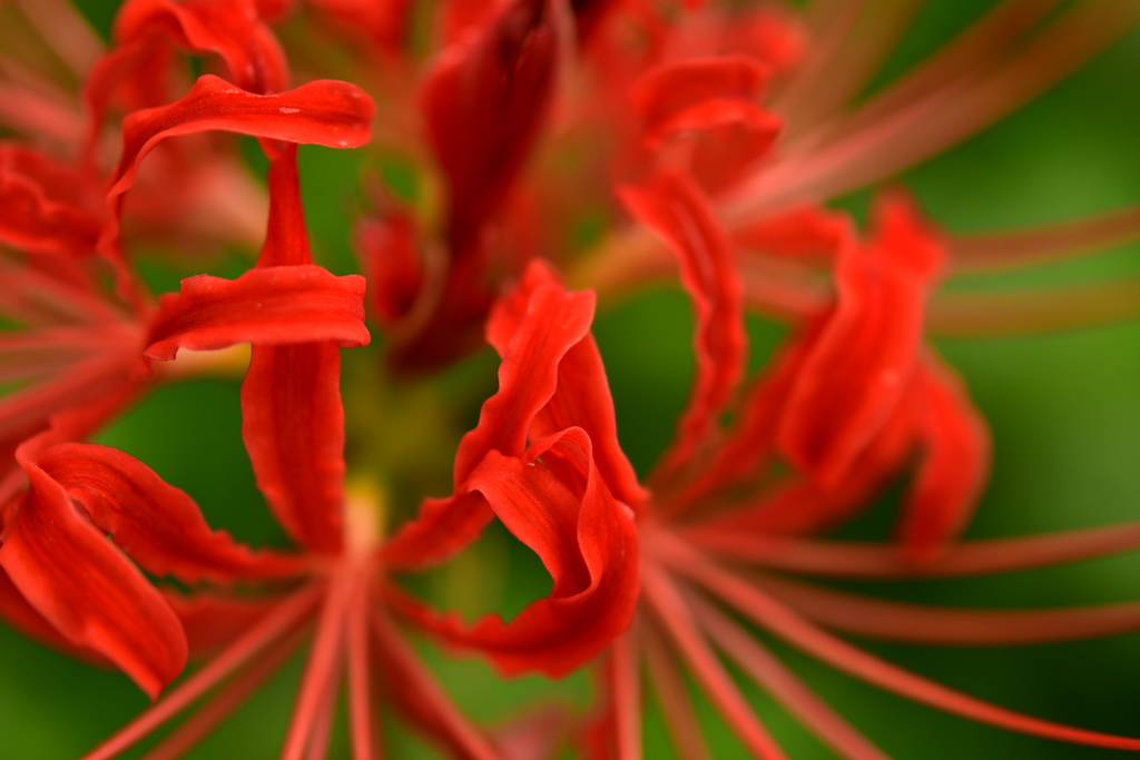DSC_5011