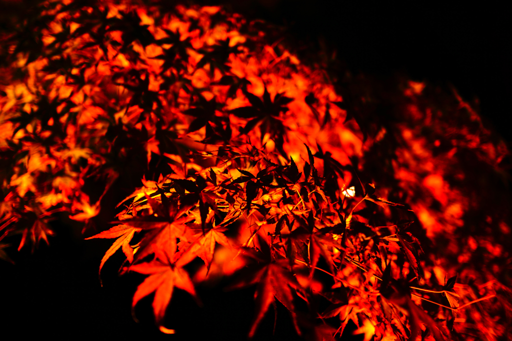 好古園