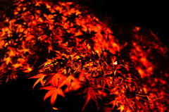 好古園