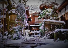 雪化粧