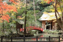 紅葉