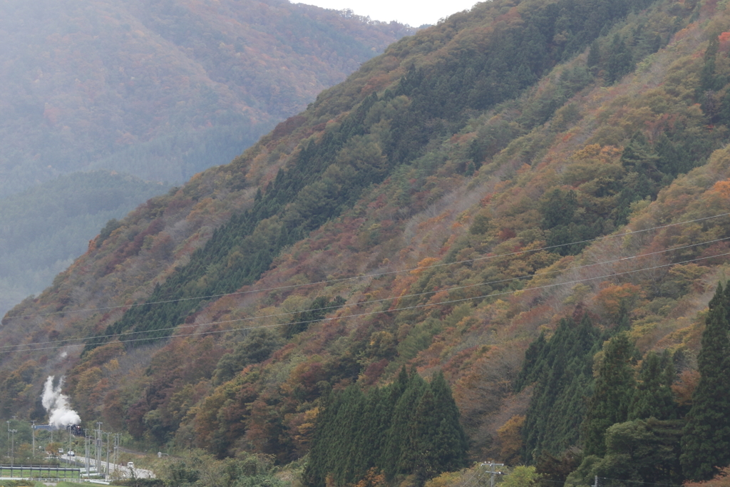 秋の山すそを行くSL