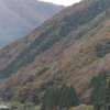秋の山すそを行くSL