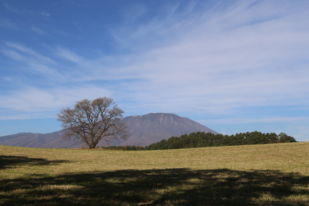 秋の岩手山