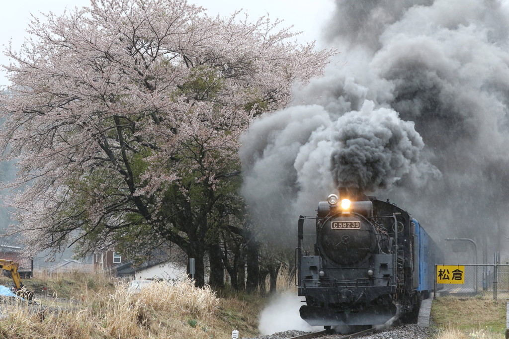 春の嵐の日