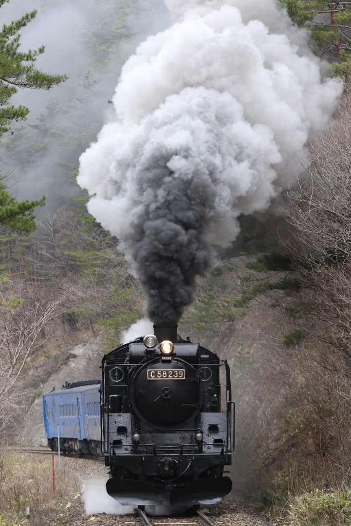 山中の力行