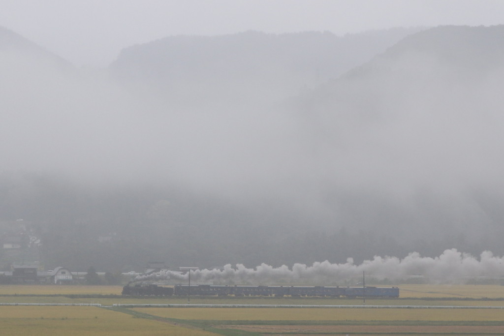 煙雨