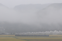 煙雨