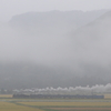 煙雨