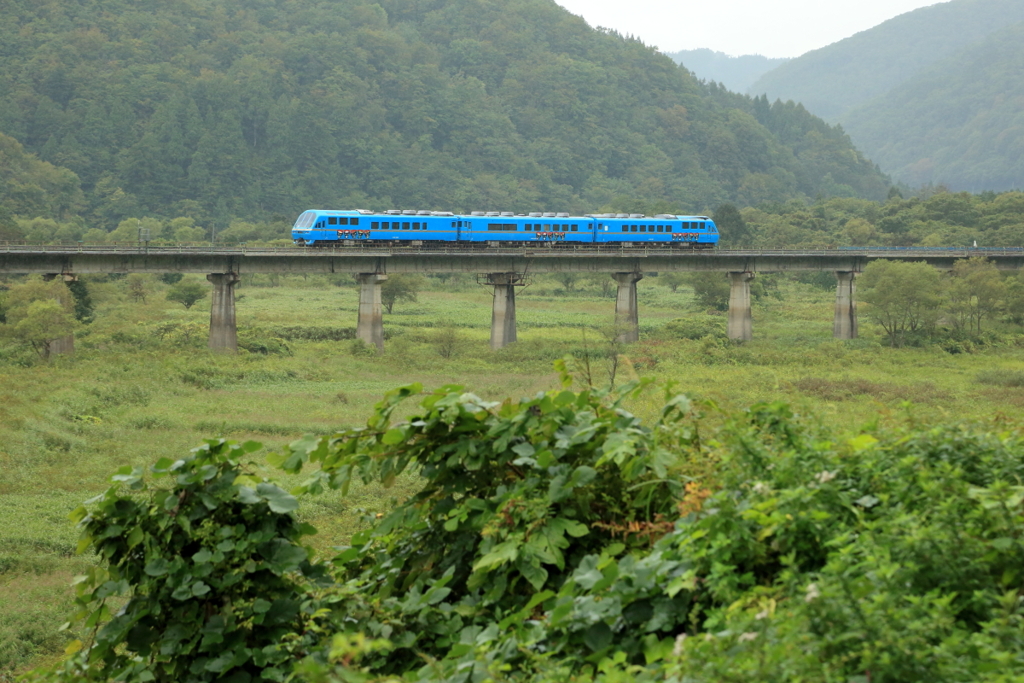 kenji回送