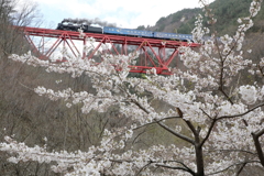 サクラの向うを行くC58