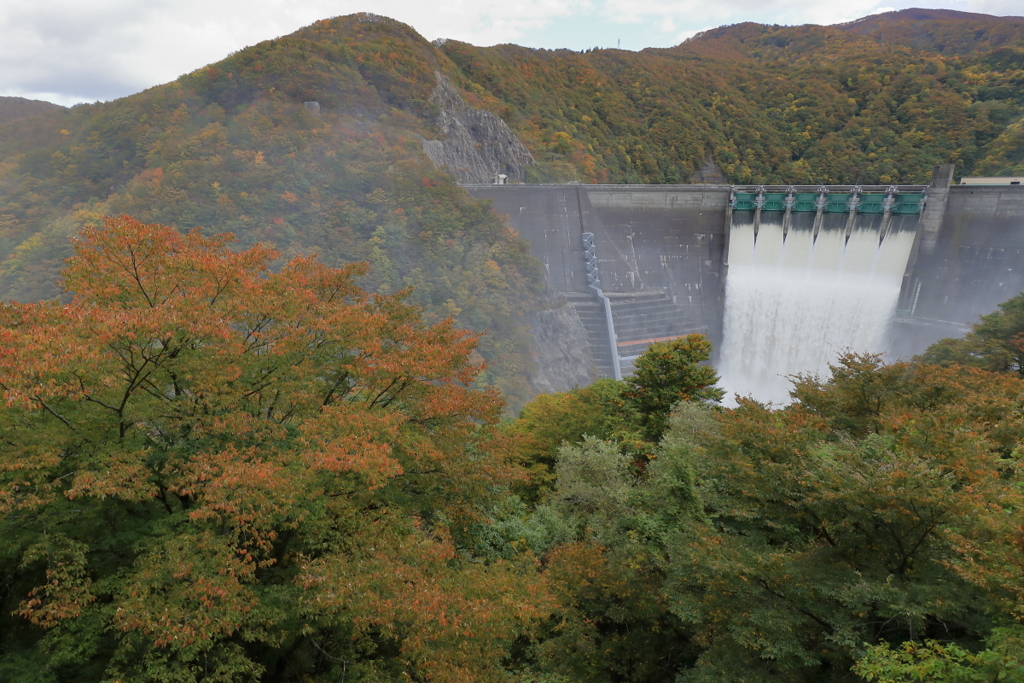 紅葉とダムの放水