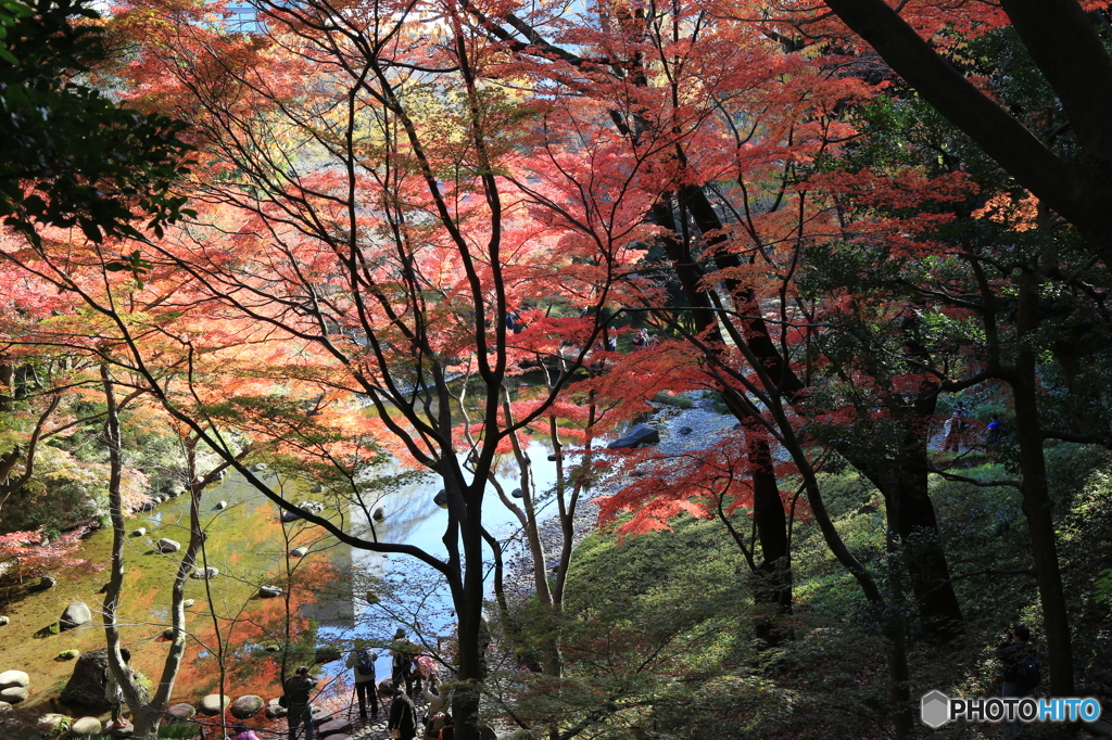 小石川後楽園1