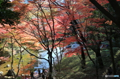 小石川後楽園1