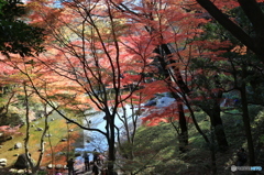 小石川後楽園1