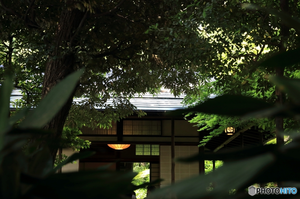旧古河庭園　茶室