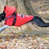 代々木ラン　駆けっこ