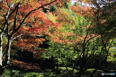 大田黒公園2