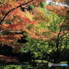大田黒公園2
