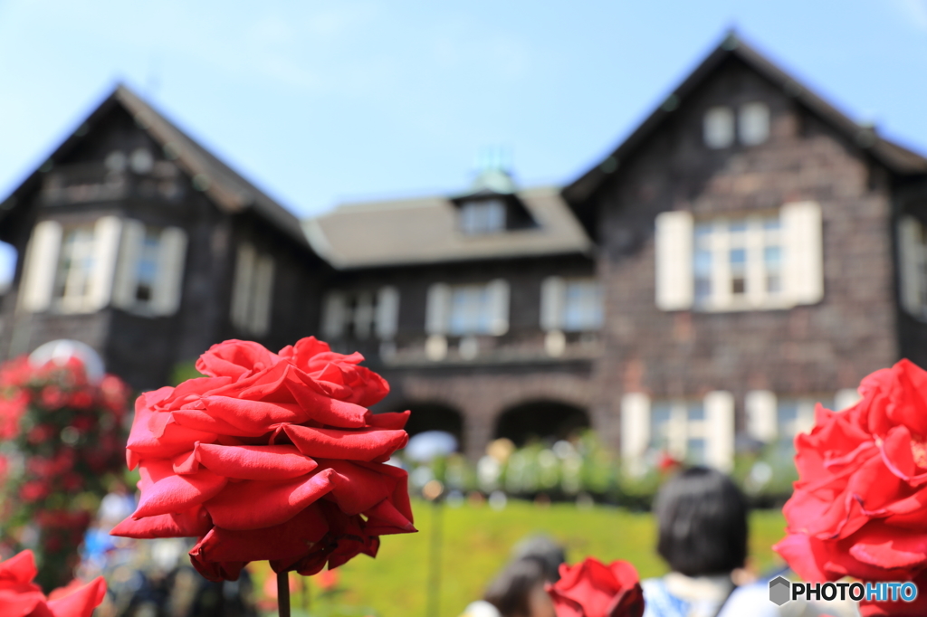 薔薇の邸宅