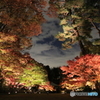 大田黒公園ライトアップ６