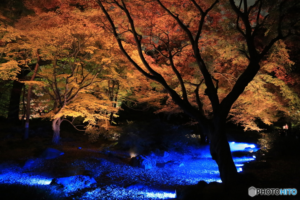 六義園5
