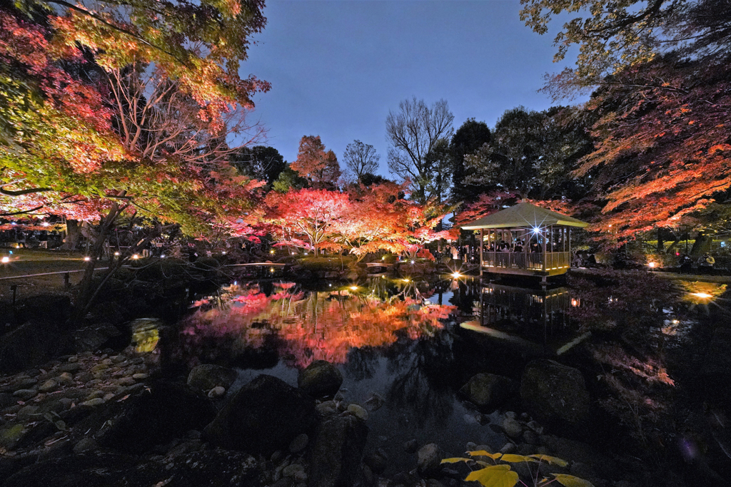 大田黒公園ライトアップVol.2