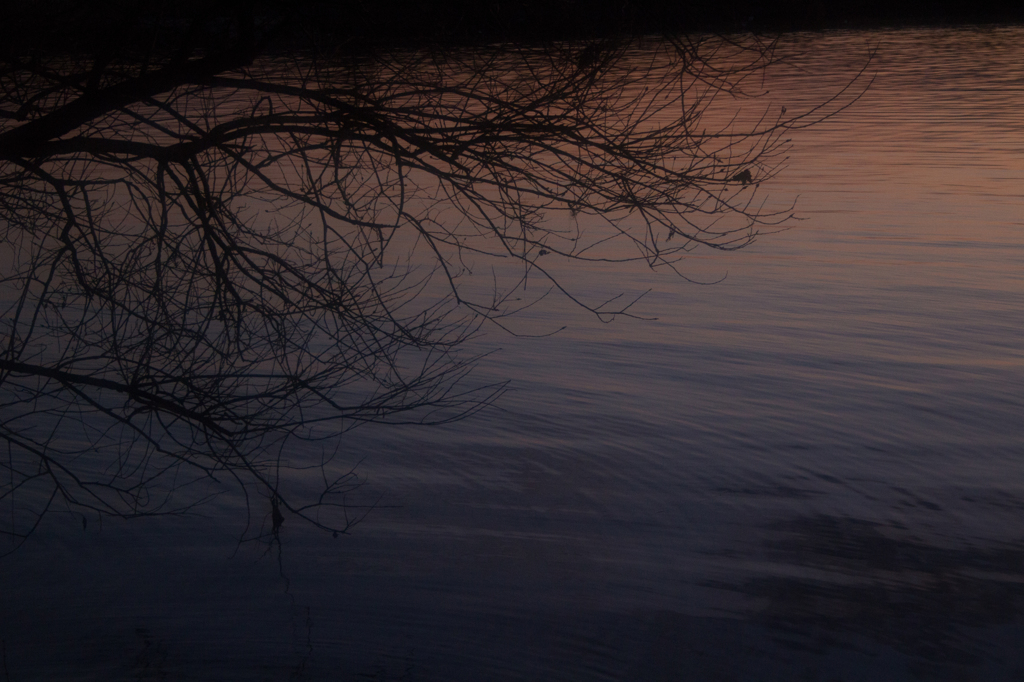 琵琶湖夕景