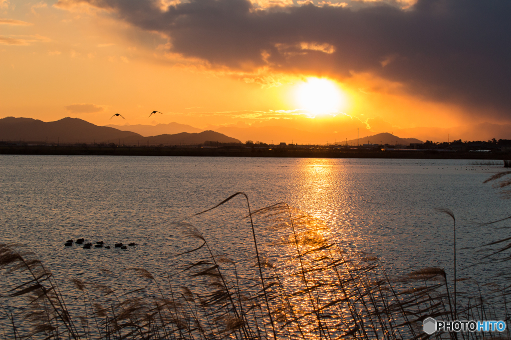 曽根沼の夕日