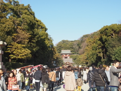 鶴岡八幡宮