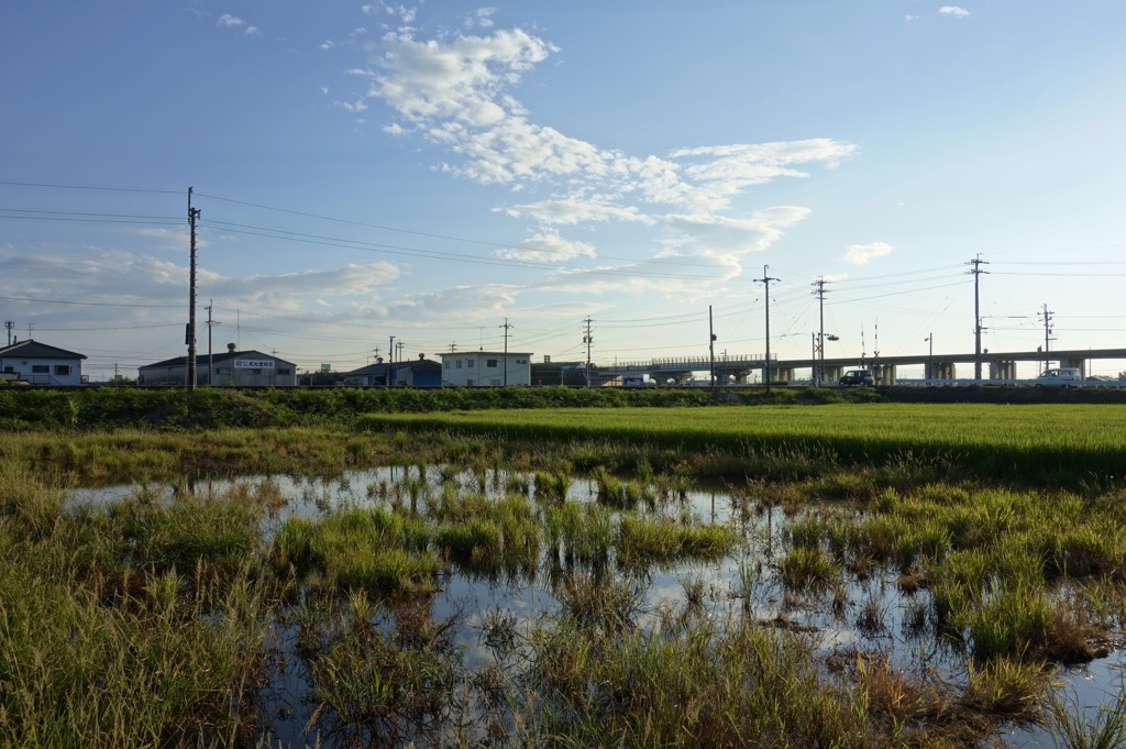 田舎